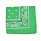 Unibasic Paisley Cotton Bandana Xl 10 Pack Head Wrap Handkerchief Novelty